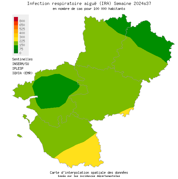 Infection respiratoire aiguë (IRA)